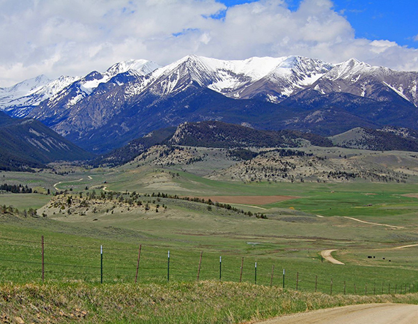 crazies_med.jpg?w=600