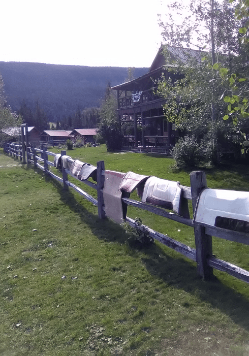 SaddlepadsontheFenceatSweetGrassRanch